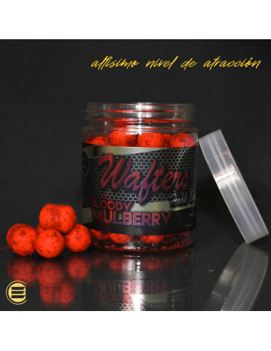 WAFTER HB BOILIE+DUMBELL BLOODY MULBERRY GOLD...