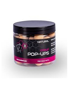 Citruz Pop Ups  NATURAL NASH