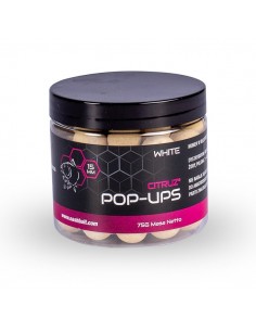 POP UPS CITRUZ WHITE 15 MM
