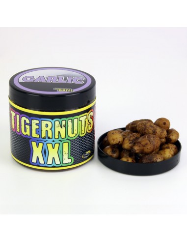 GARLIC TIGERNUTS XXL