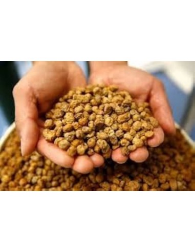 Chufa a granel standard premium