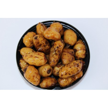 ROBIN RED GOLD TIGERNUTS XXL