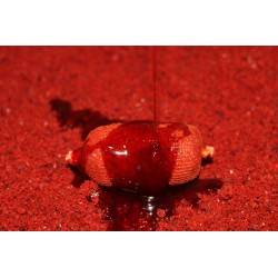 DIPS BOOSTER ROBIN RED 2