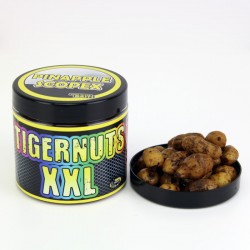 PIÑA & SCOPEX TIGERNUTS XXL