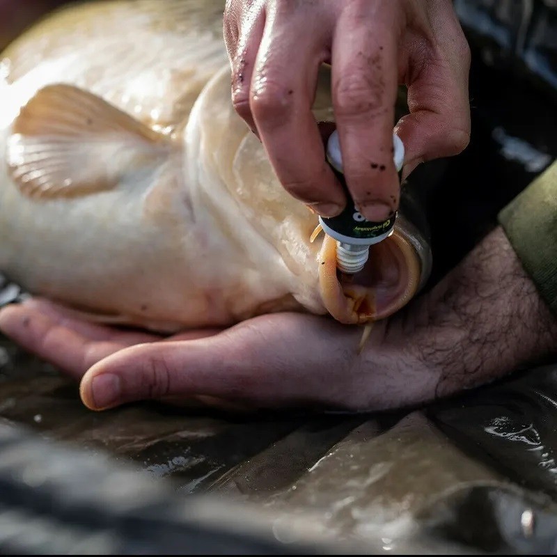 Solución de cuidado de peces ProCare